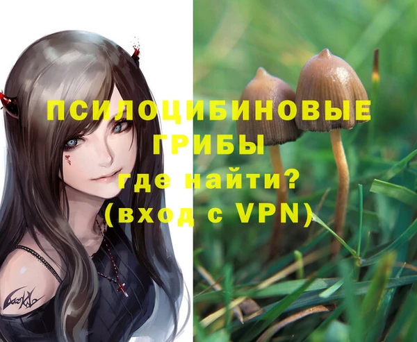 метадон Алексин